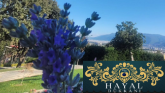 Hayal Dükkanı
